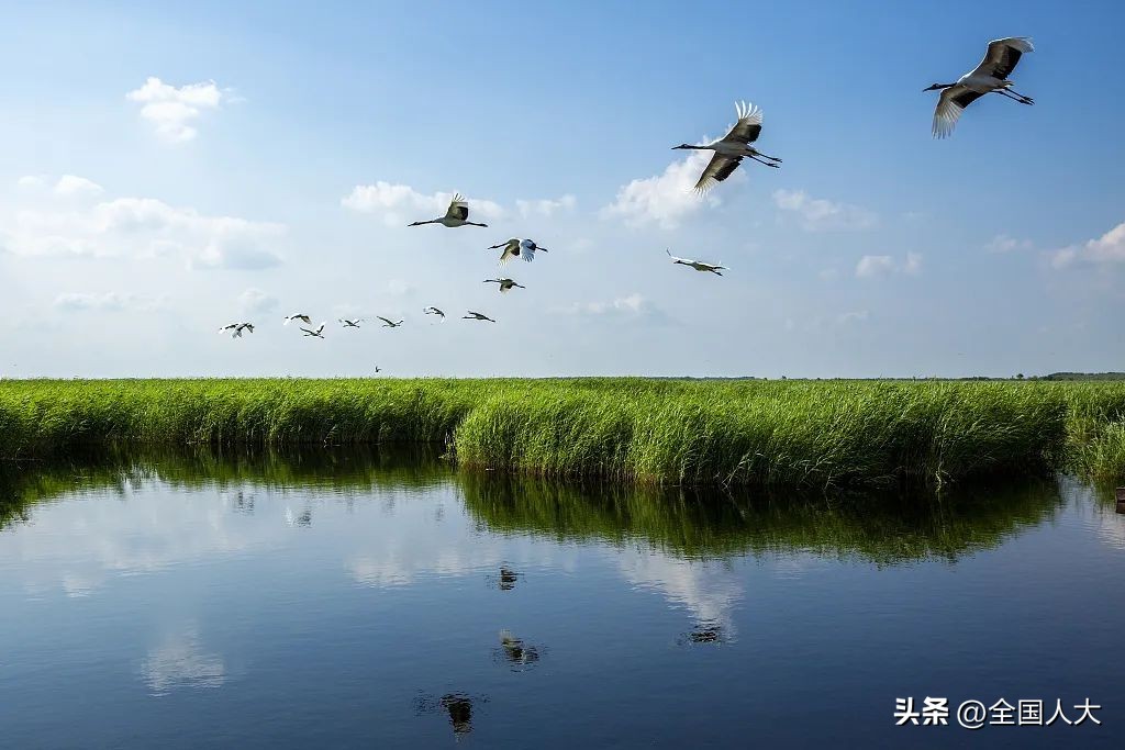 执法严格规范公正文明,精准执法检查表