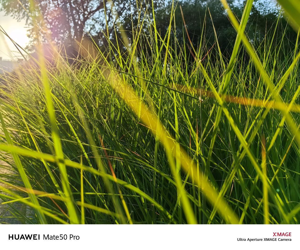 华为mate50值得期待吗,华为mate50给我们什么惊喜