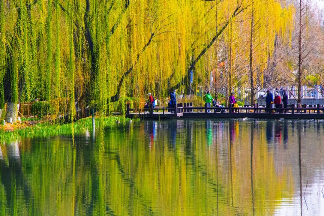 西城印象西平县,西城印象二期