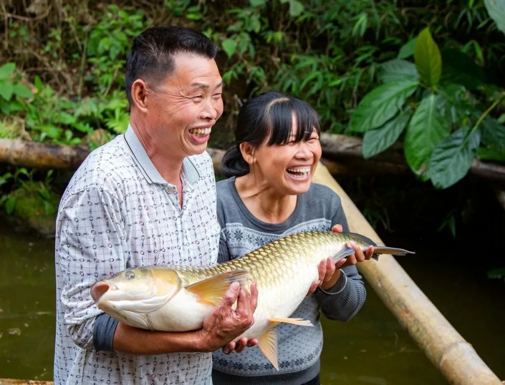 广西博白客家特产小吃图片高清,广西博白小吃都有什么
