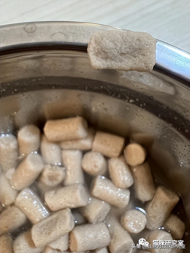 布兰德冻干昆虫鸡,布兰德冻干昆虫蛋白