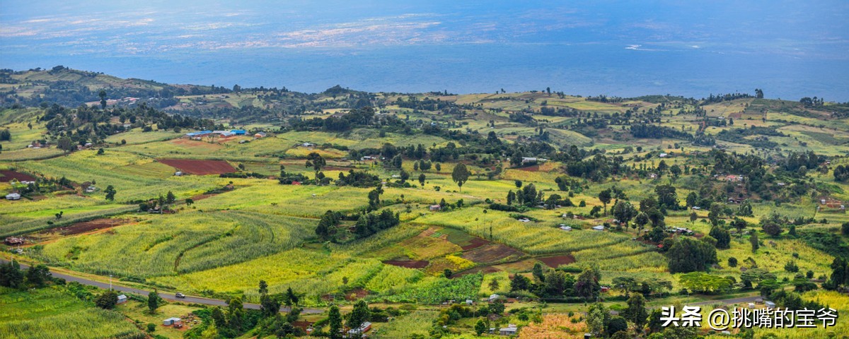 同在非洲大陆，同胞国家忍饥挨饿，它还出口牛油果、芝麻到中国
