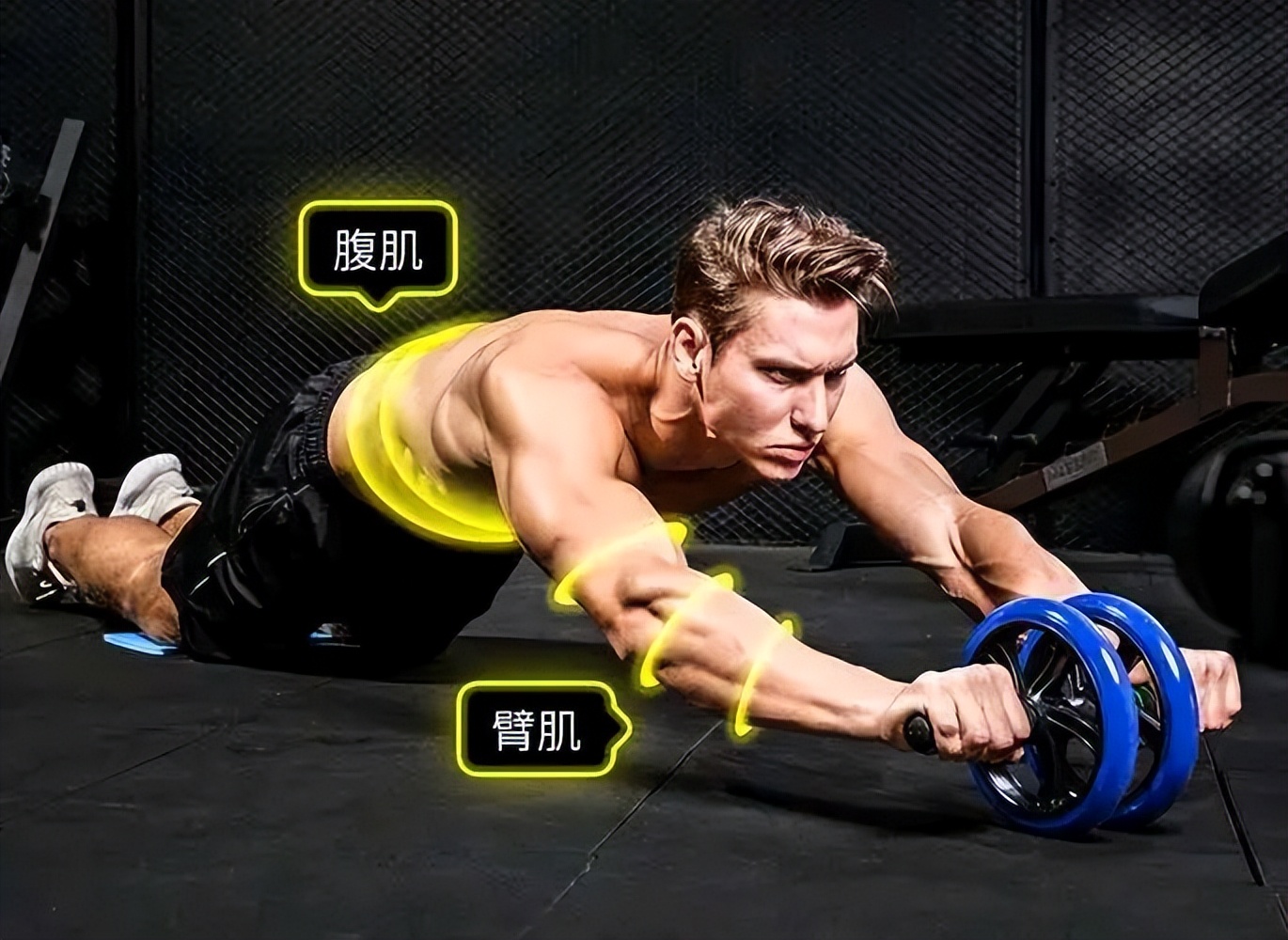 不用去健身房在家照样拥有好身材,不去健身房在家能练出肌肉吗