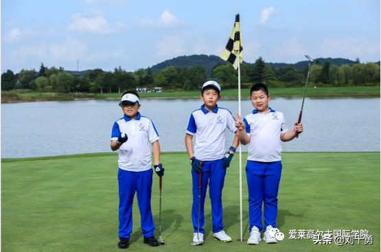 高尔夫球新规什么情况下可以动球,高尔夫球新规什么时候改的