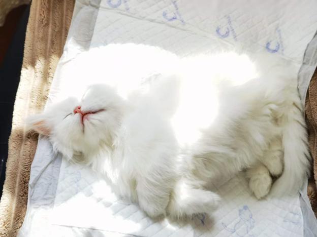 你托付我一生我还你爱的永恒