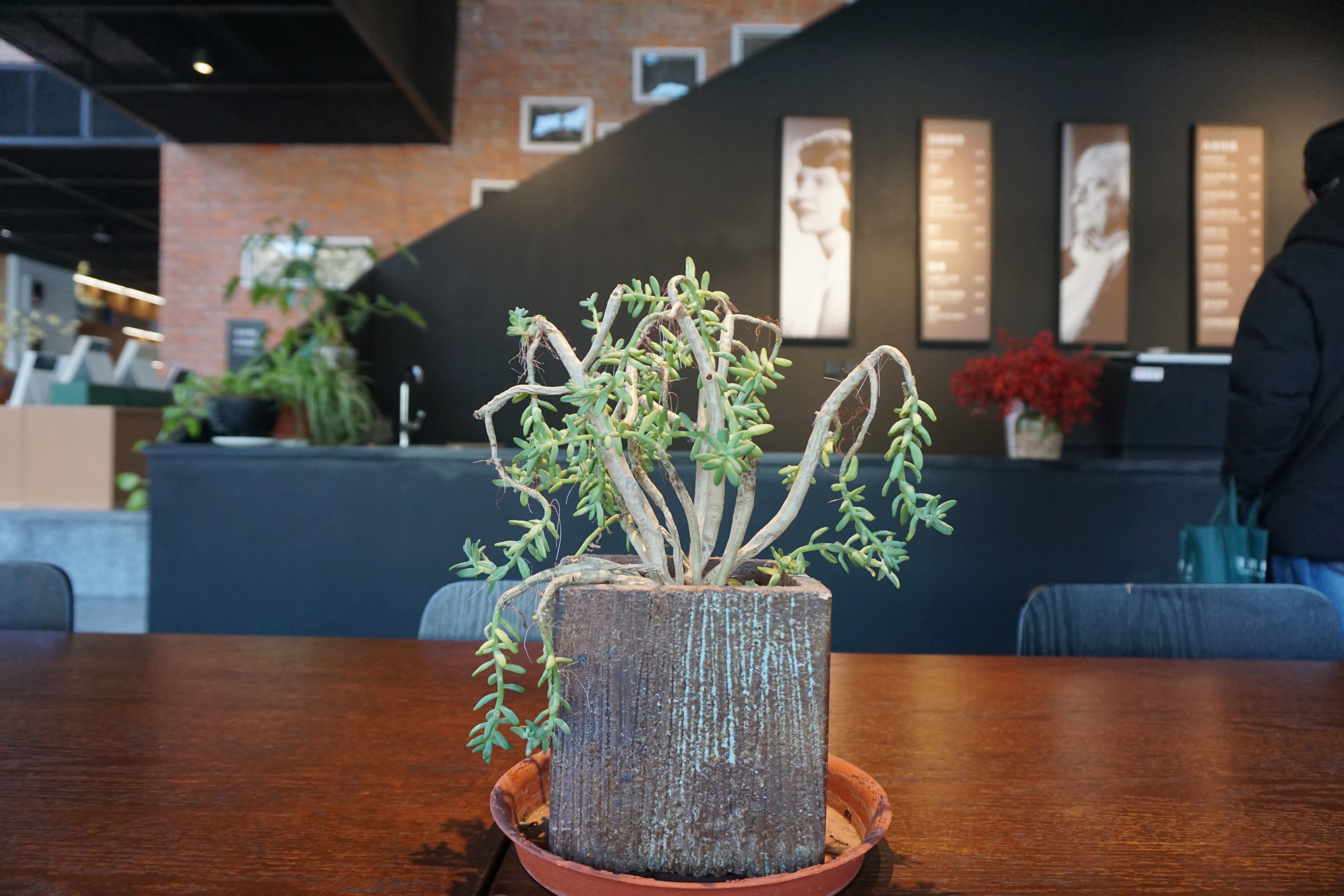 先锋汤山矿坑书店设计,南京汤山先锋书店