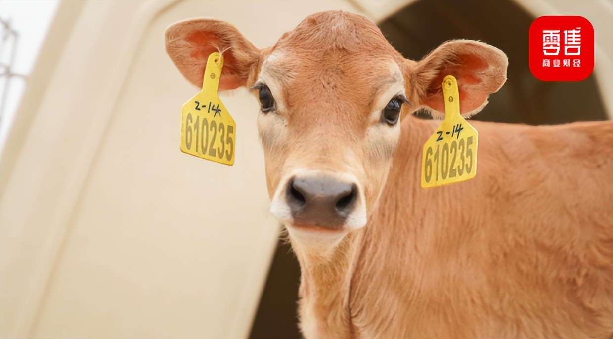 认养一头牛品牌事件,认养一头牛商业逻辑