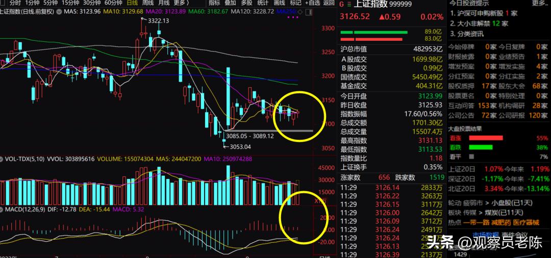机构认为高分红蓝筹策略避险,市场震荡超跌股
