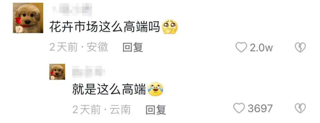 云南人考上清华北大,云南逆袭崛起