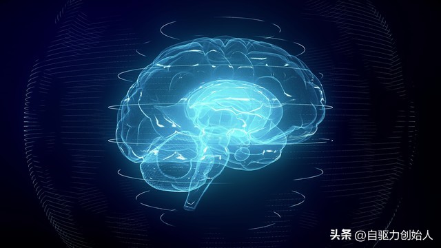 自驱型家庭模型中是开放式大脑或防御式大脑