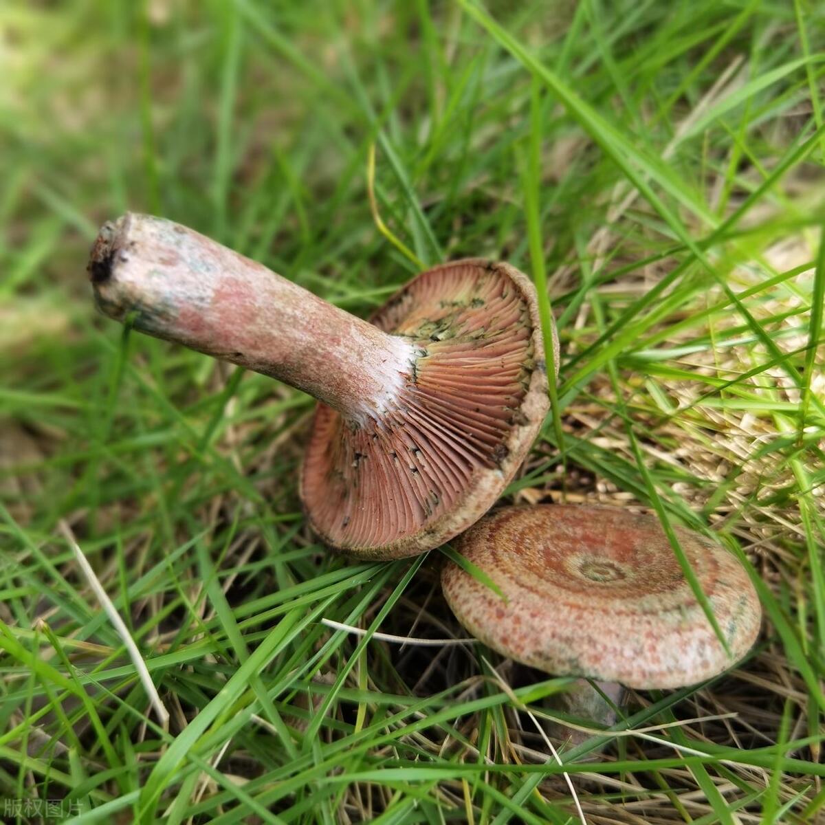 从零开始月入过万的生意,大学生怎样做生意才可以赚钱