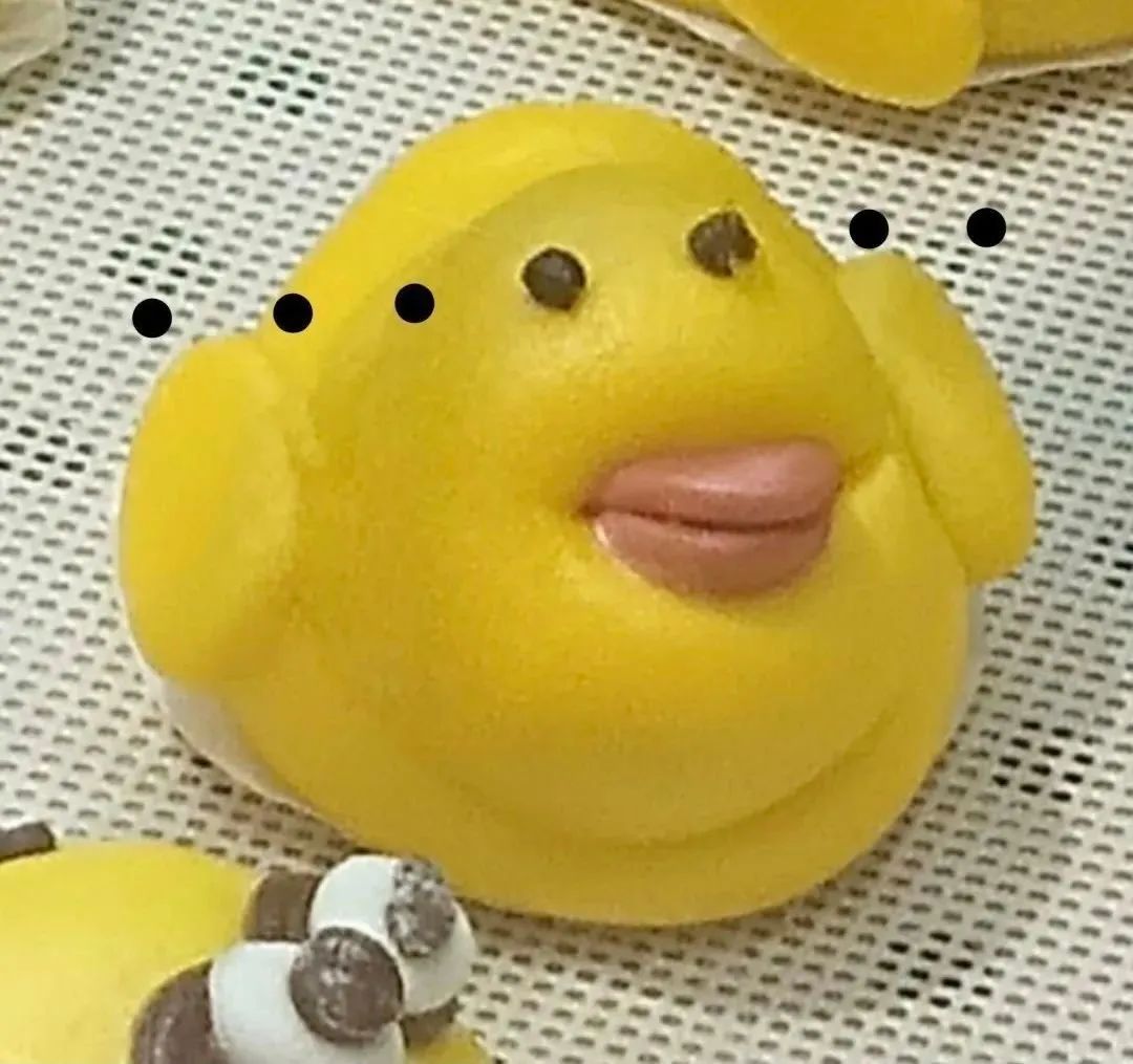 某地办比赛鼓励儿童猎杀野猫？！主办方：杀猫最多的奖励1000元！