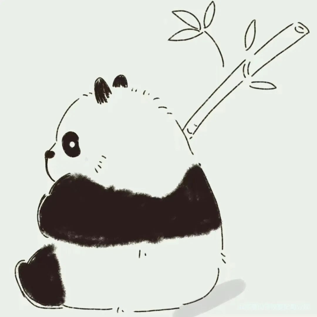 北京景山学校曹妃甸分校宣传片,北京景山学校曹妃甸分校班级赛