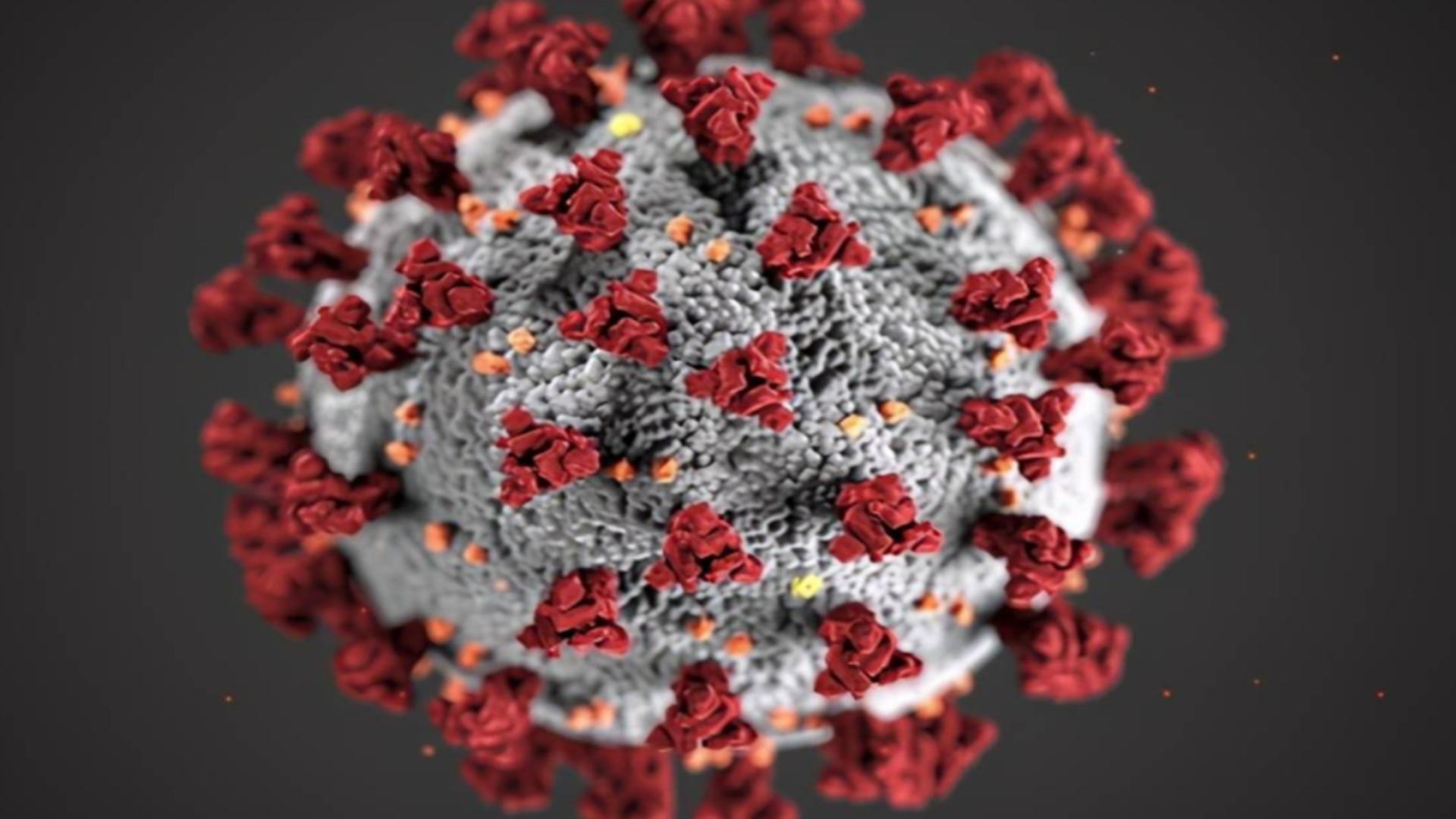 鐮旂┒sars-cov-2鐥呮瘨,cov2鍙樺紓鐥呮瘨鐤嫍