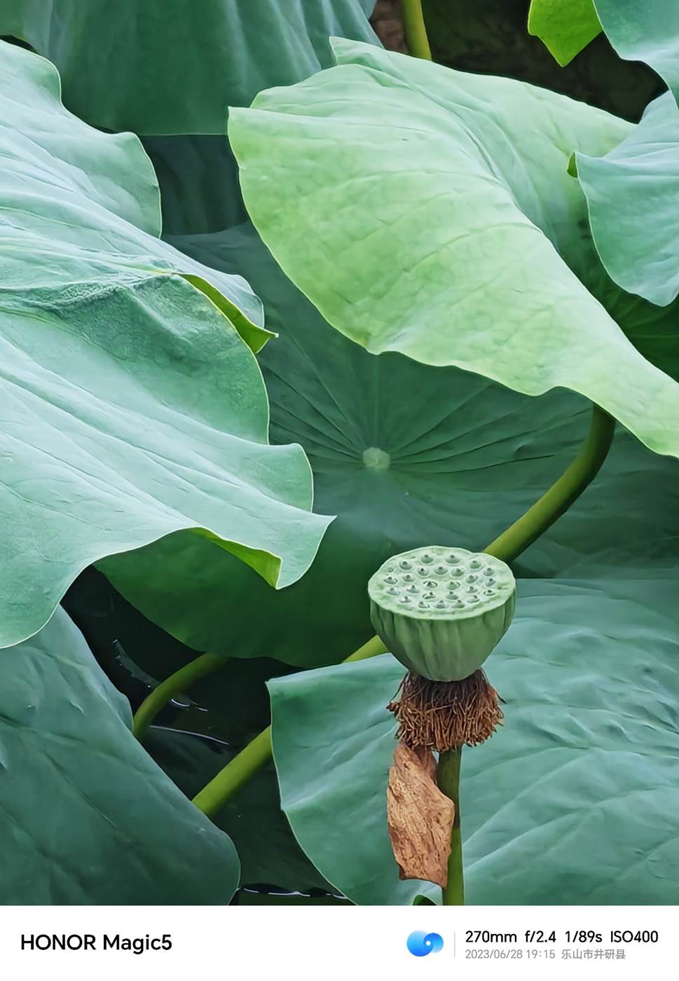 荣耀magic5使用一年的感受,荣耀magic5性能稳定吗