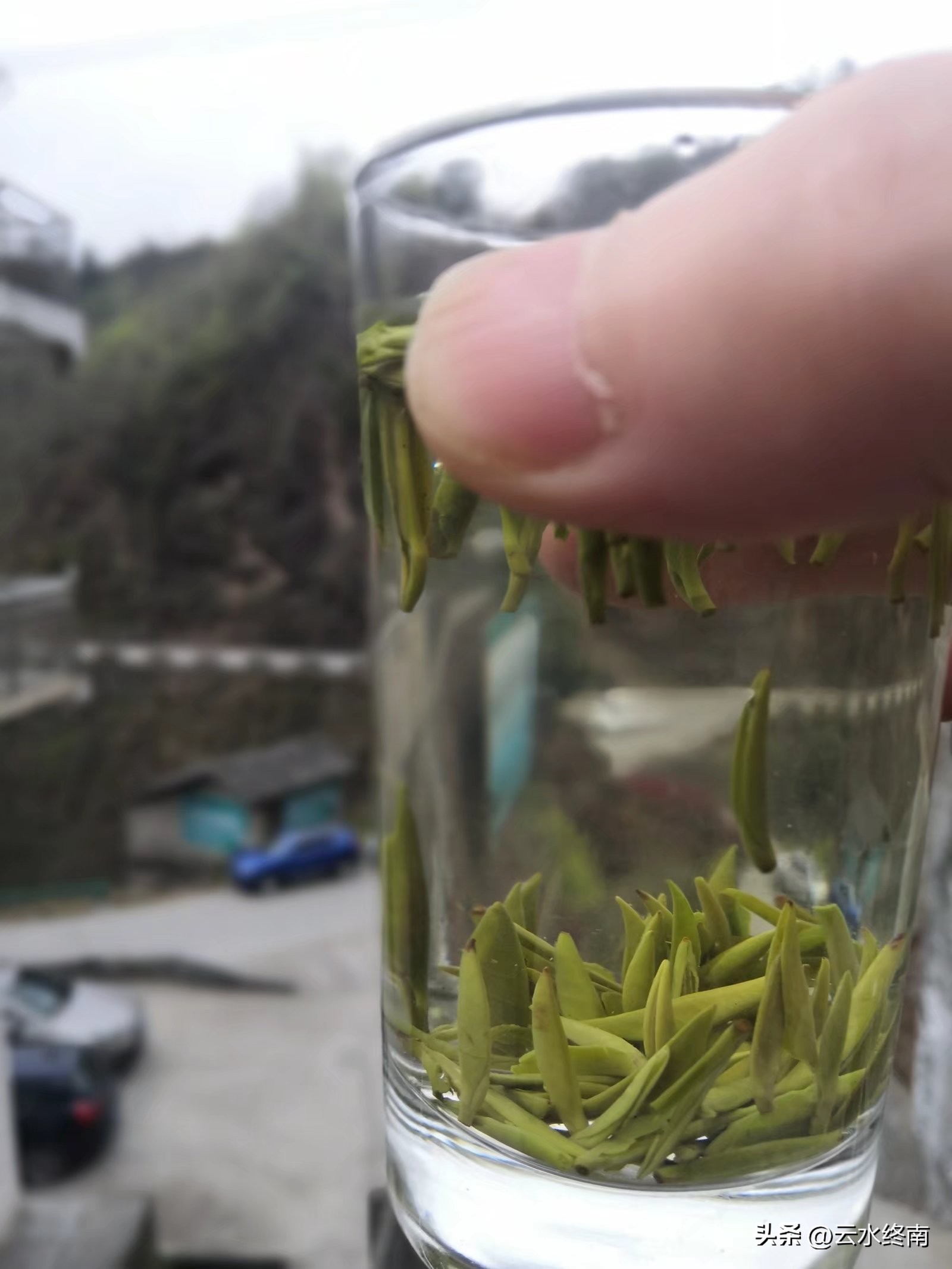 紫阳县号称小重庆,陕西紫阳县号称小重庆