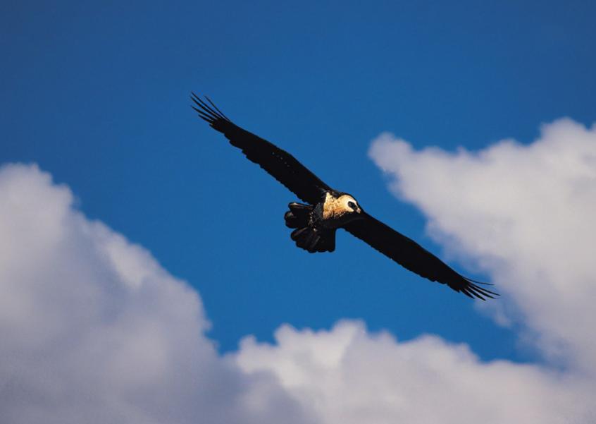 王维杜甫最经典的15首诗,王维给李白写下的15首诗的排名