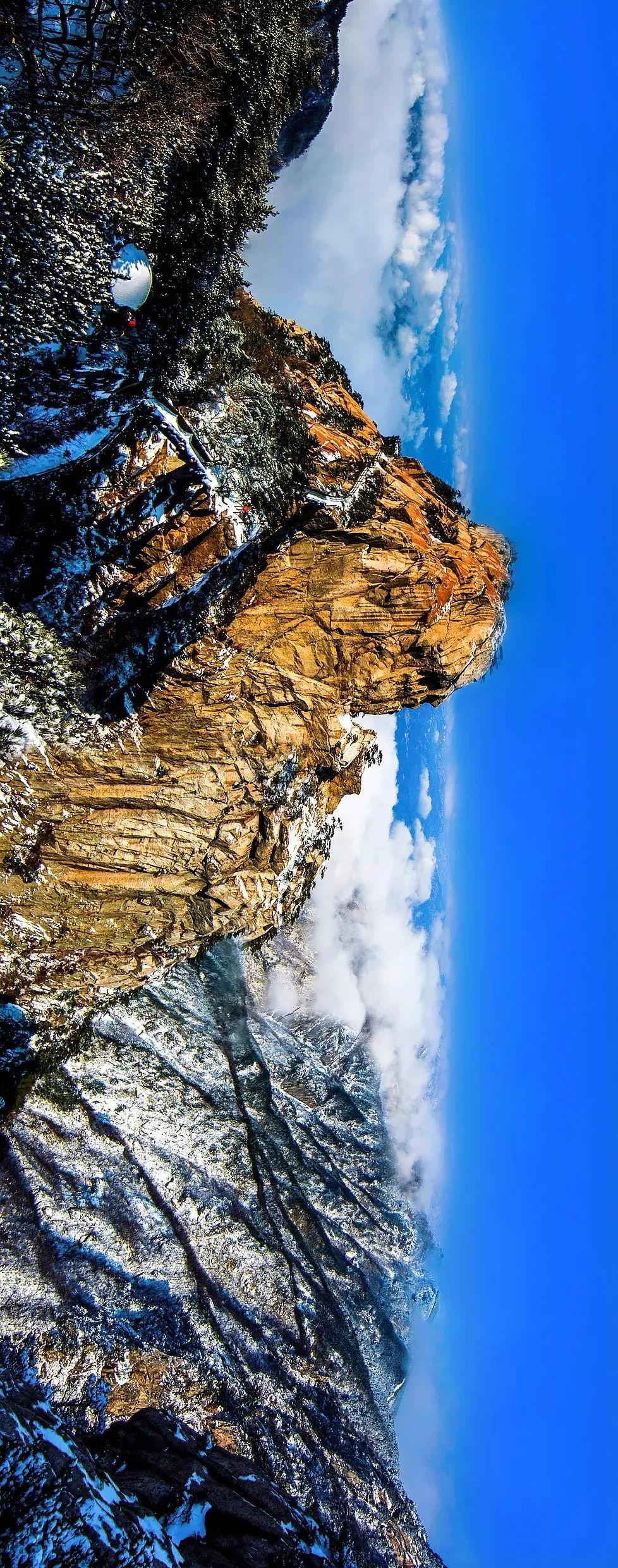 湖北著名的红茶,湖北名红茶