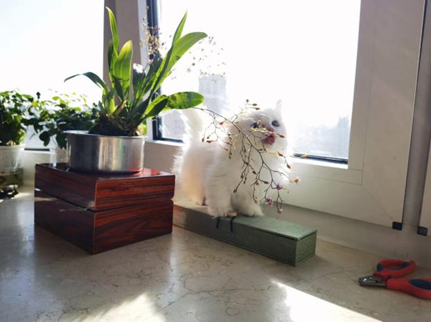 你托付我一生我还你爱的永恒