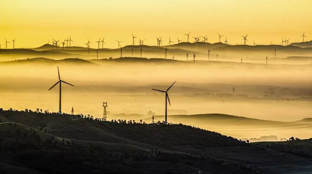 康平，不愿错过你！