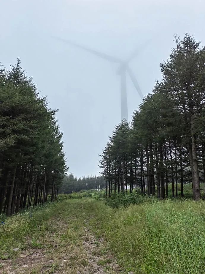 灏忓ぉ灞遍夯鐢板箔鏅尯浜戞捣,楹荤敯宀皬澶╁北璺ソ璧颁箞