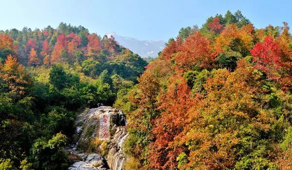 广东避暑的旅游景点冷门,广州周边游冷泉滩