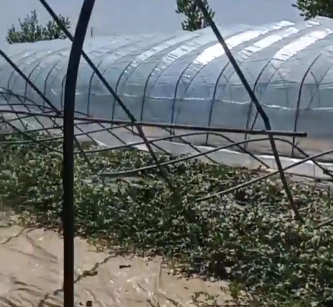 8根炸串115元,353元的房费,重新订房涨价到890元