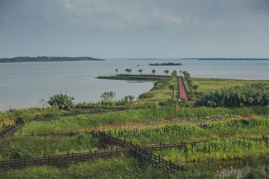 武汉武汉市妮8家的民宿,武汉附近吃住玩一条龙服务的民宿