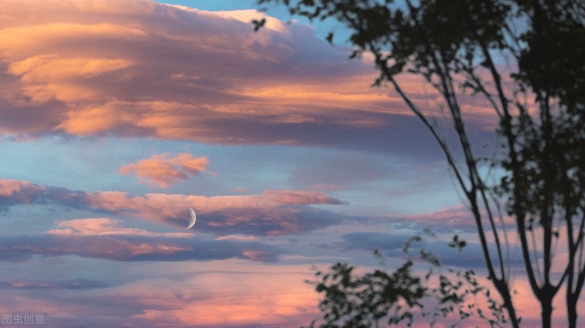 10个冷门却惊艳的小众成语,100个冷门惊艳的成语图片