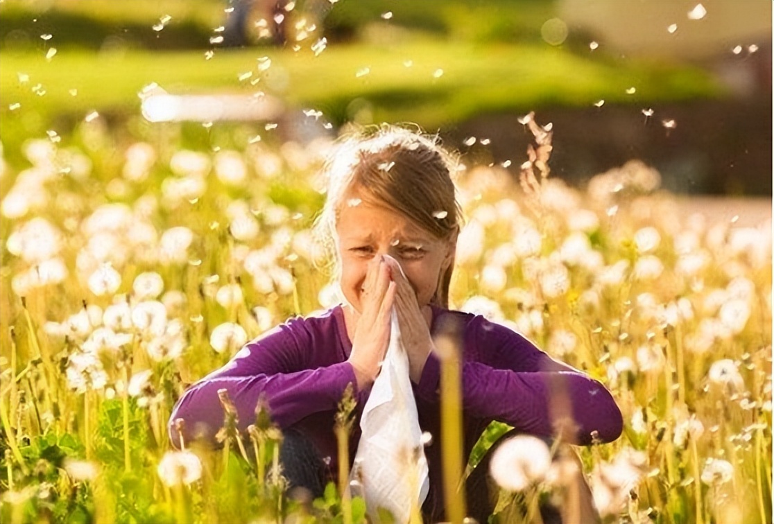 西替利嗪和氯雷他定作用一样吗,氯雷他定西替利嗪扑尔敏哪个好