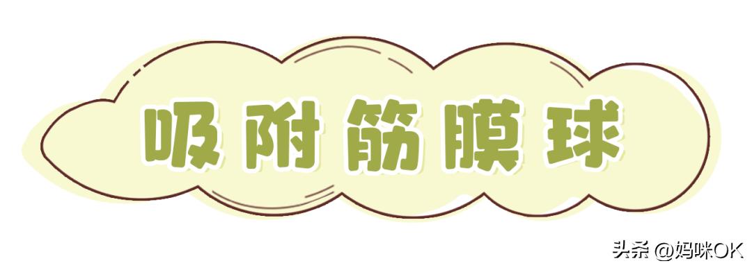 10几块的养生小物,健康养生小物推荐