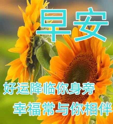 周末早安最漂亮问候图片带字,周三早安正能量图片带字