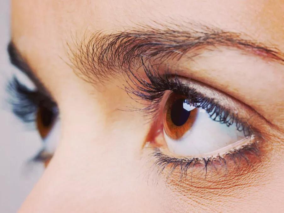 写一篇你的目光为题的作文600字,给你一双新的眼睛作文