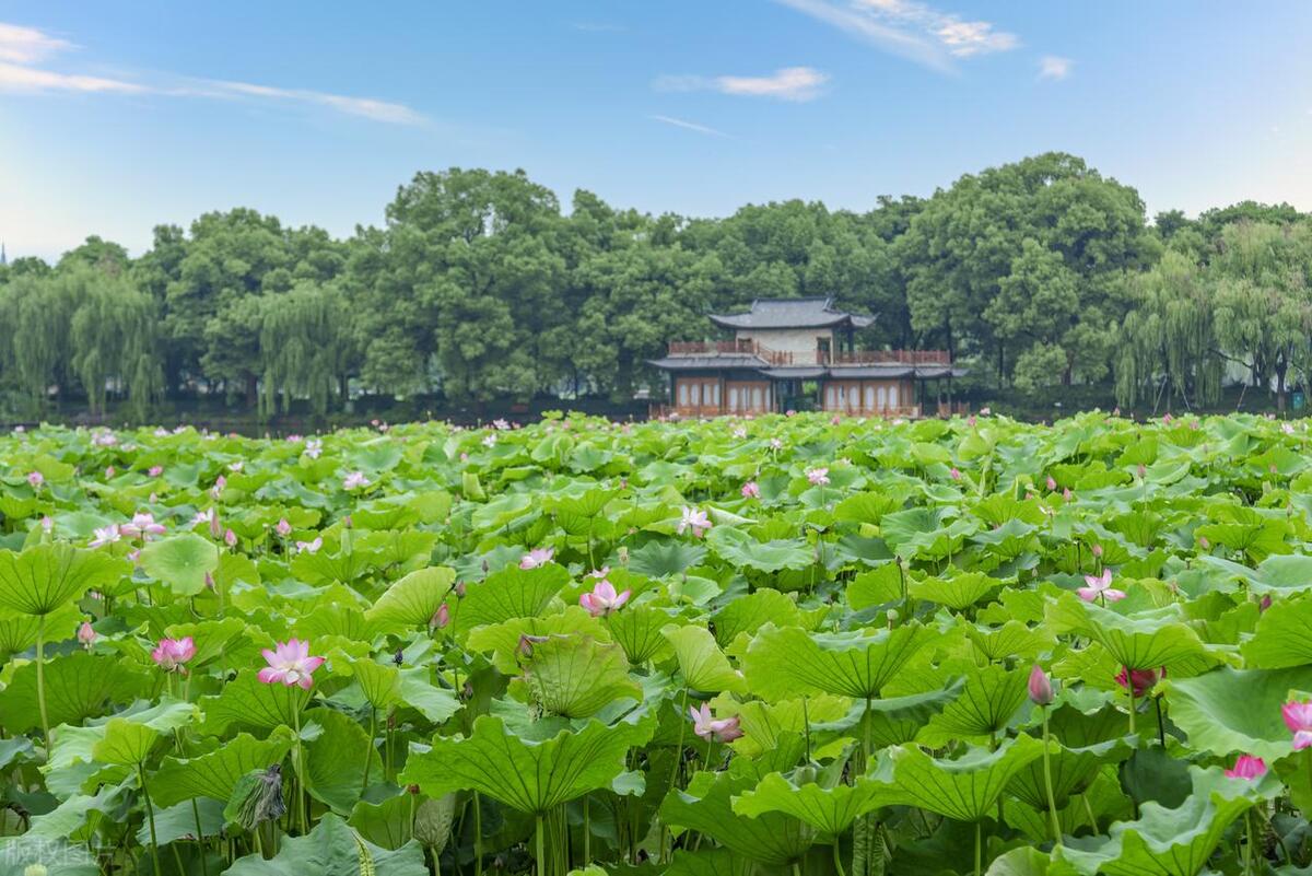 西湖十景来历和传说有哪些,西湖十景由来