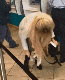 出差住宾馆给老婆发照片,老婆出差酒店给我发照片