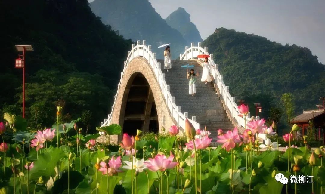 柳江的美景,想要诗和远方又不想离家