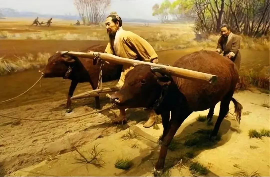 回族不吃猪肉，满族不吃狗肉，古代汉族也有不吃的肉