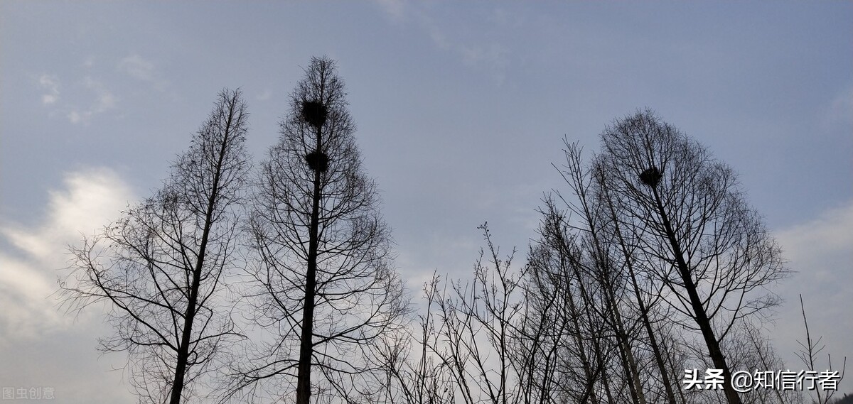 逆向思维能力提升训练,逆向思维如何提高业绩