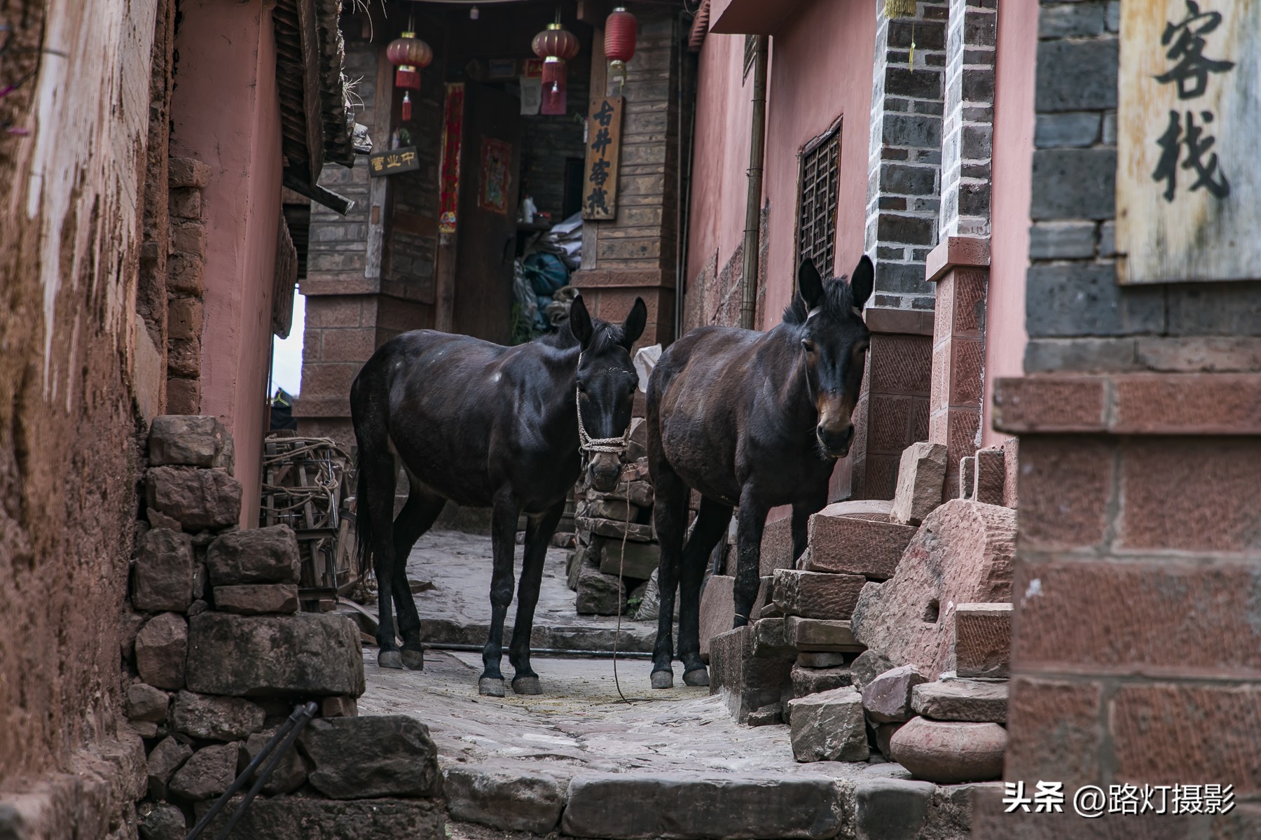 刘亦菲大理风景,刘亦菲带火的大理景点