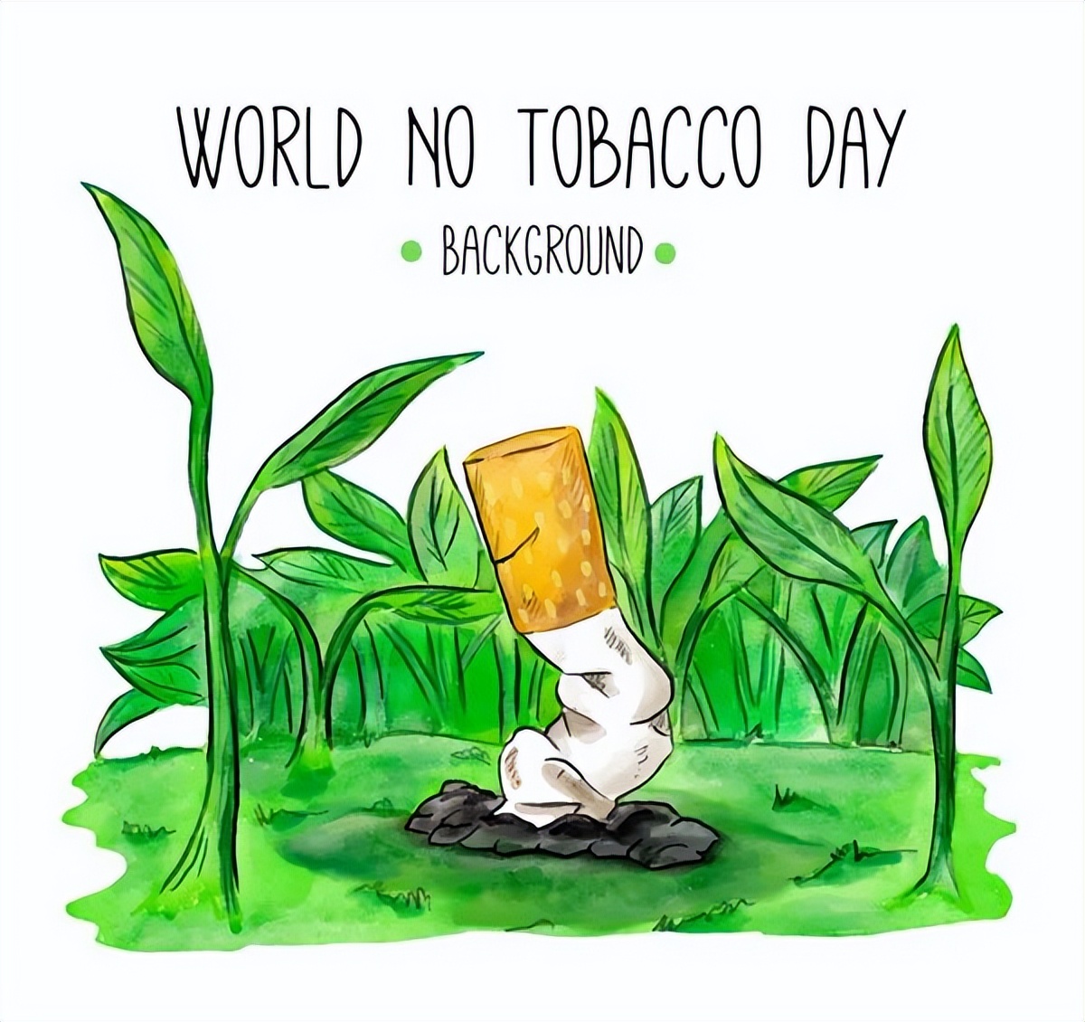 世界无烟日|无烟，为成长护航，共建共享健康环境