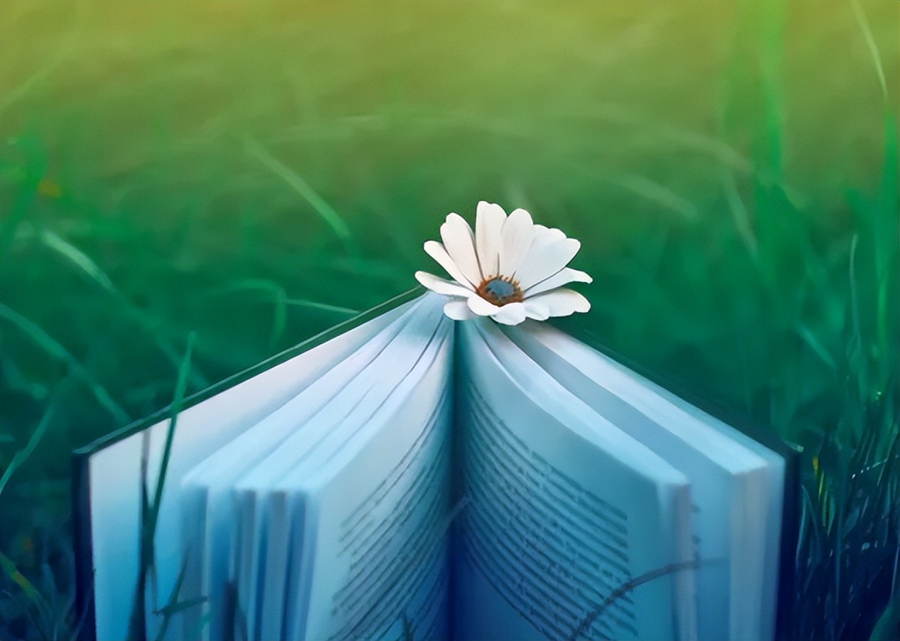 读怎样的书能提高读书效率,读书怎样读好一本书