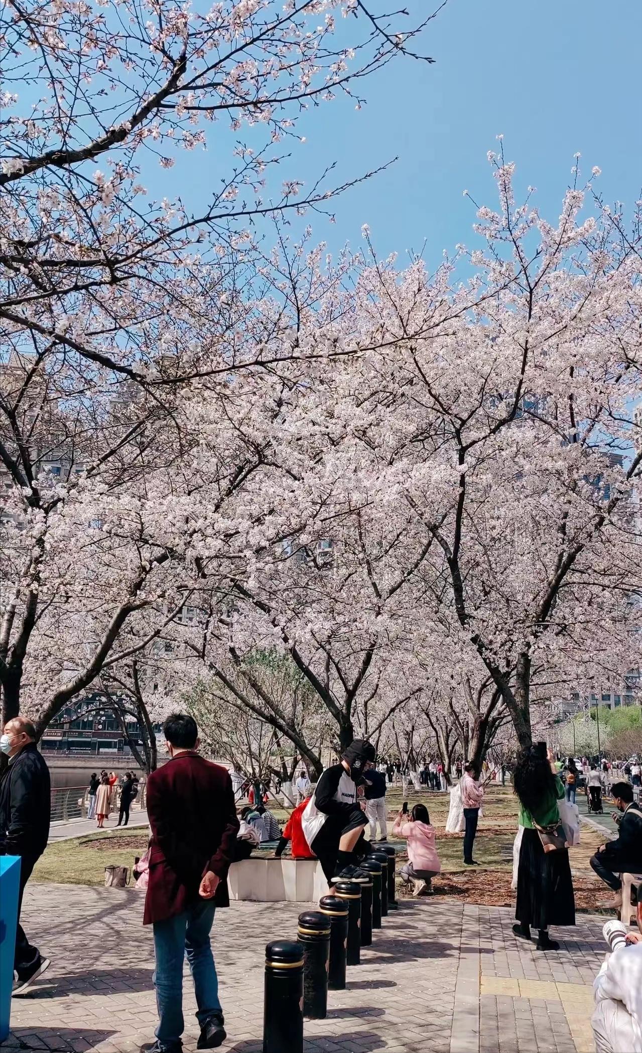 武汉汉口一日游推荐,武汉三天两夜汉口旅游攻略