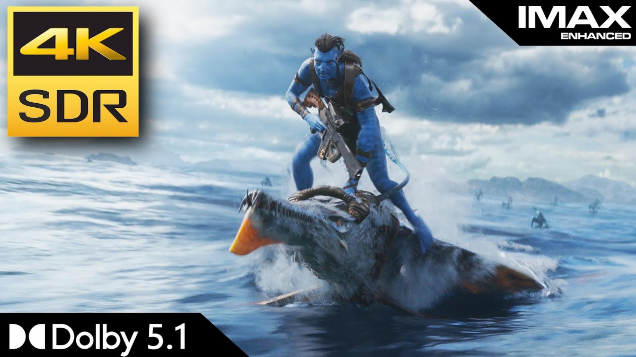 阿凡达2终于定档,阿凡达2支持4k120帧吗