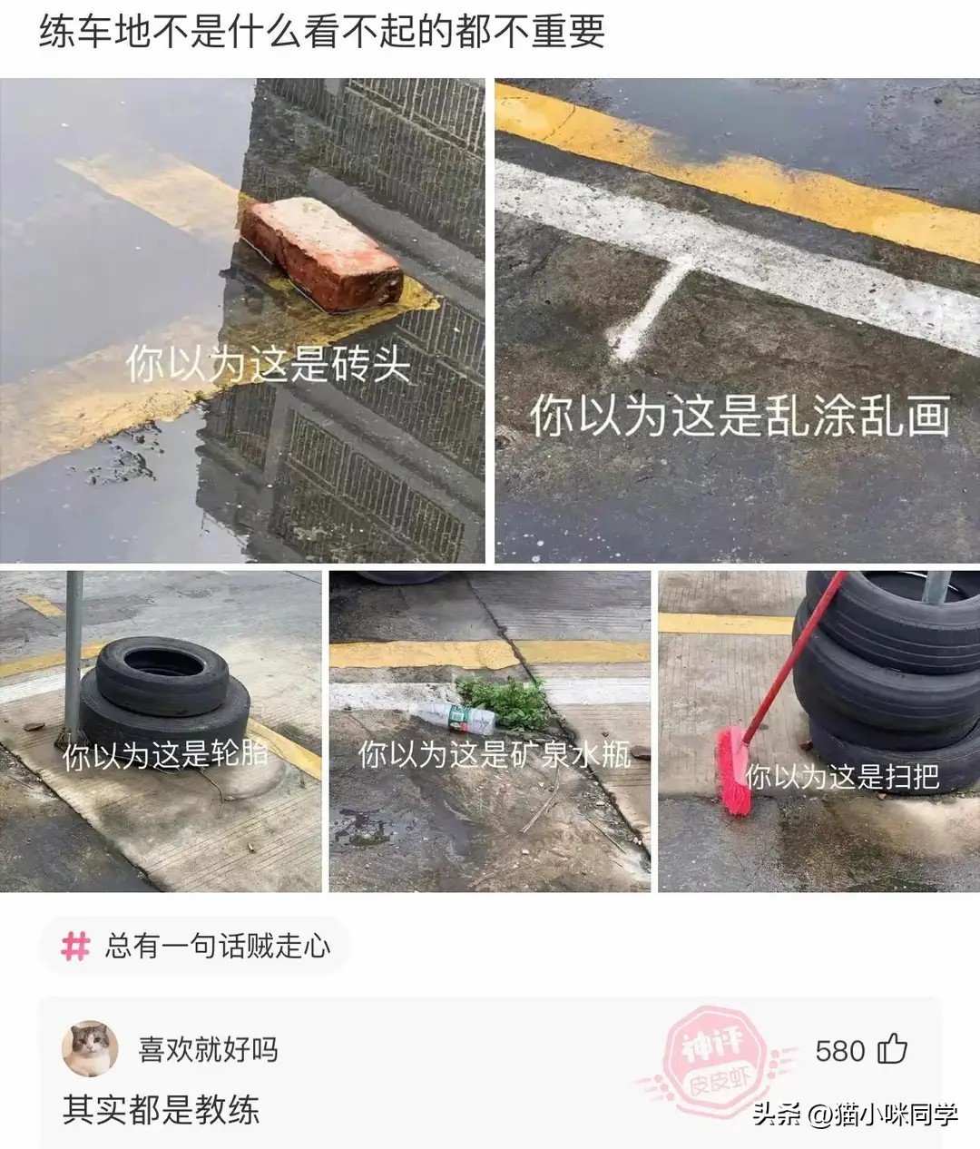 驾校的每一个点都有他存在的意义,驾校的一草一木都有它存在的意义