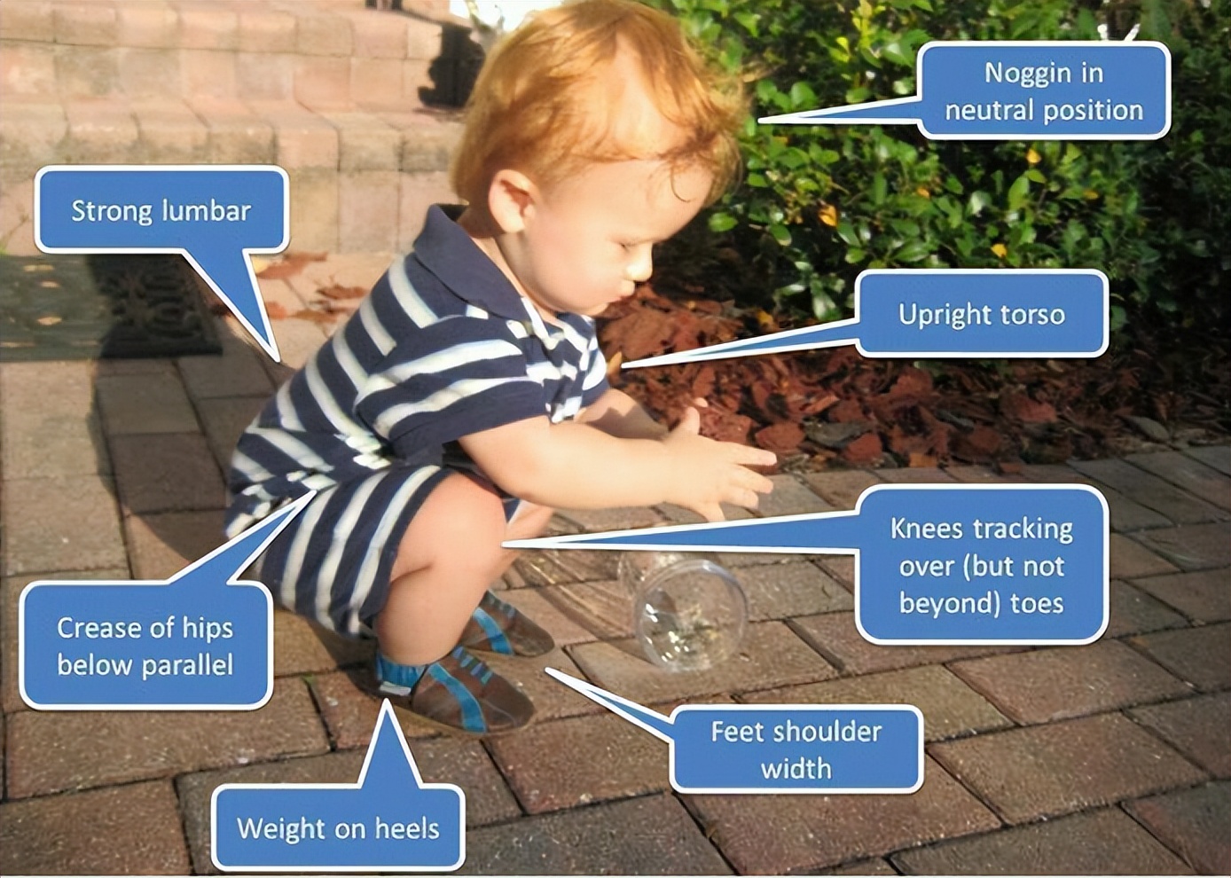 泡沫轴筋膜松解原理,泡沫轴筋膜放松法上肢