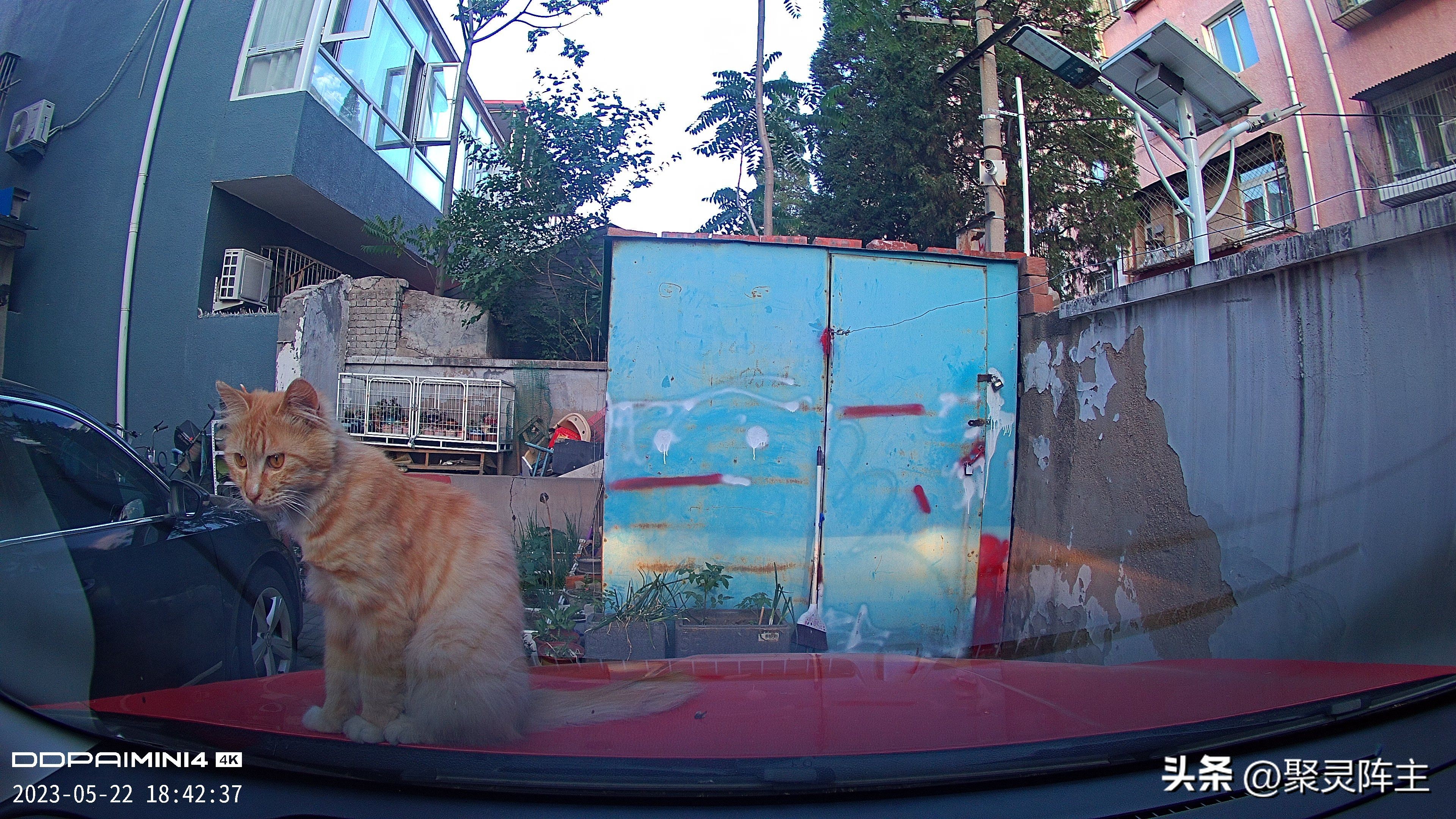 盯盯拍mini2ce4行车记录仪,盯盯拍老款mini行车记录仪评测