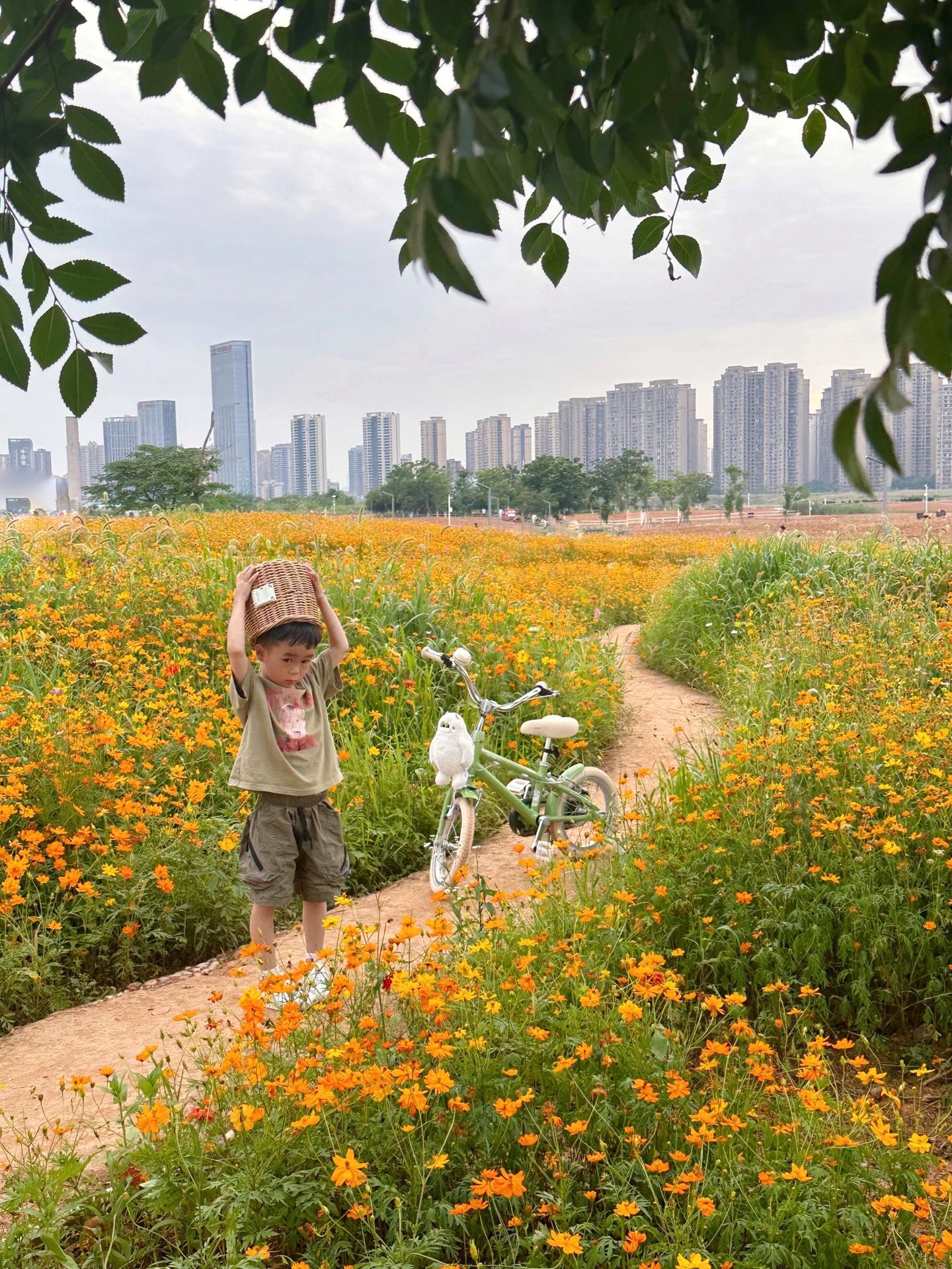 长沙梅溪海洋公园游玩攻略,长沙格桑花海旅游攻略