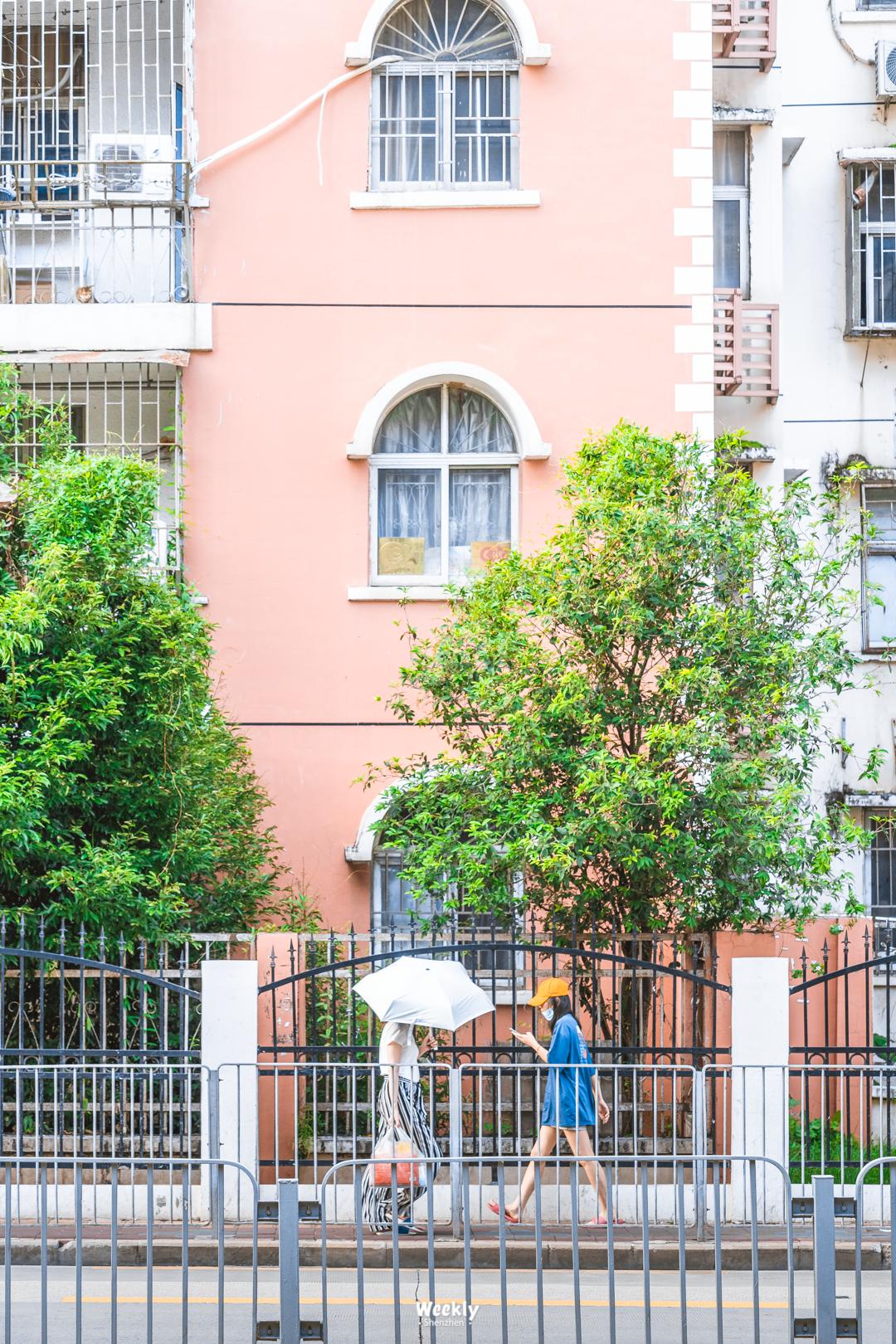 从深圳出发的特种兵一日游,特种兵式旅游深圳出发