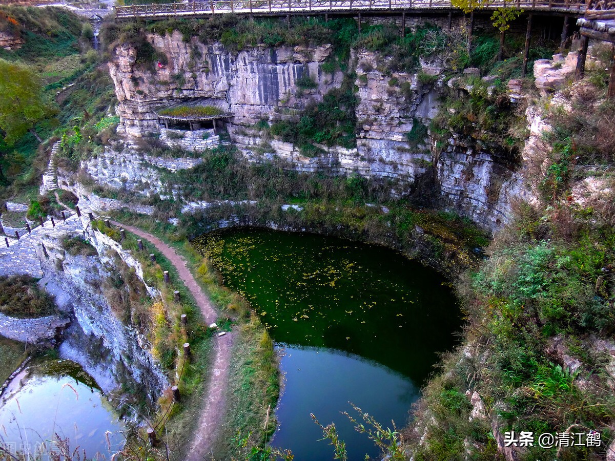 十种种子传播的方法,种子的传播方法有几种类型