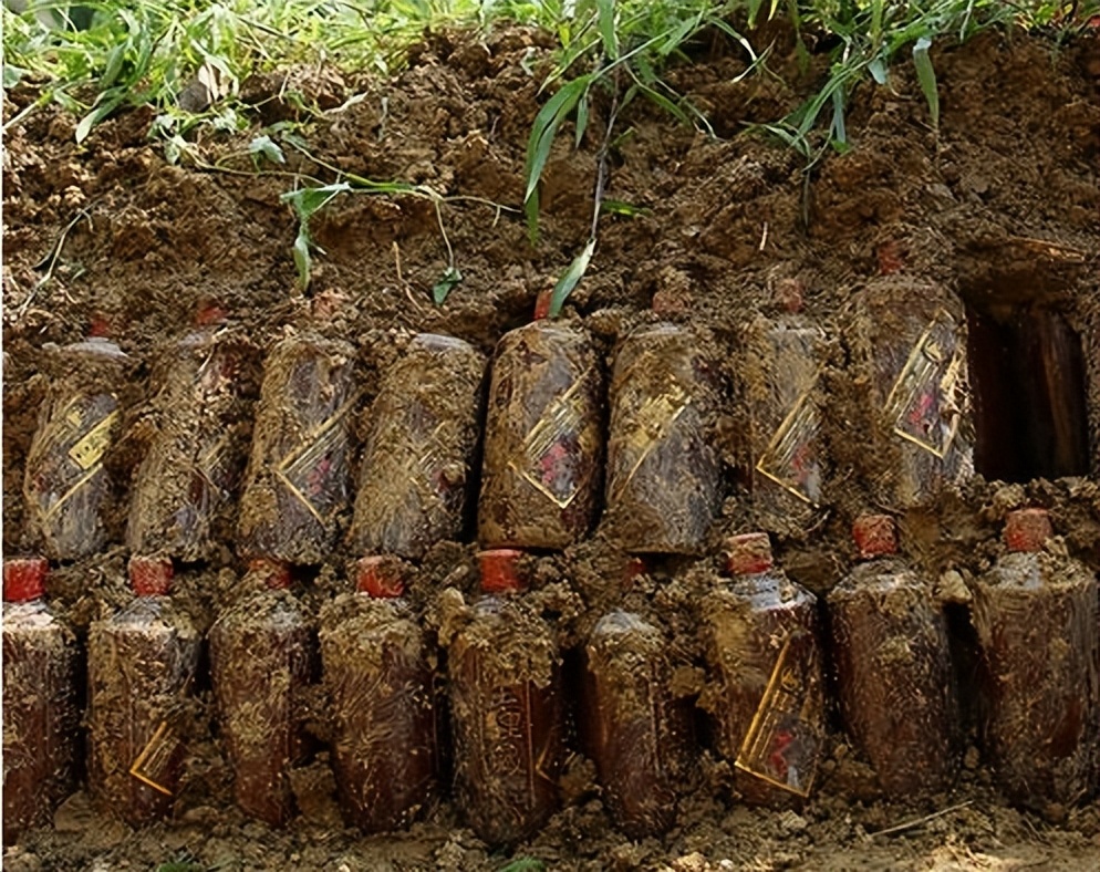 山东一男子买酒埋了20年,到底还能不能喝?酒水店老板说完都懂了